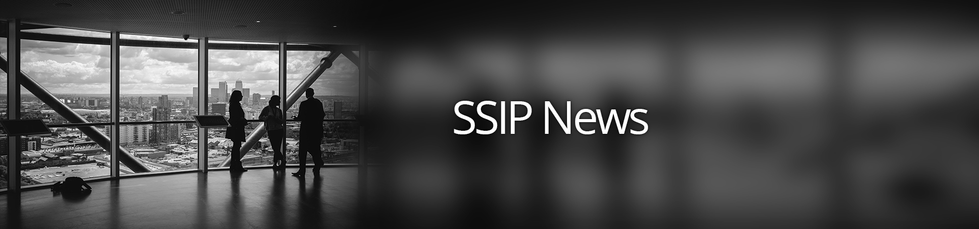 SSIP Portal Launched