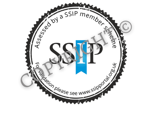 Download The SSIP Supplier Logo